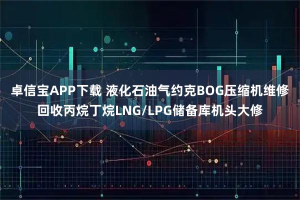 卓信宝APP下载 液化石油气约克BOG压缩机维修回收丙烷丁烷LNG/LPG储备库机头大修