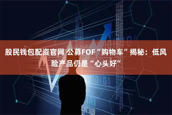 股民钱包配资官网 公募FOF“购物车”揭秘：低风险产品仍是“心头好”