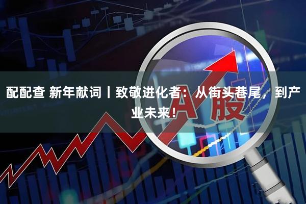 配配查 新年献词丨致敬进化者：从街头巷尾，到产业未来！